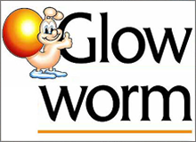 0020152564 Glow worm 30 Sxi Electrode Kit