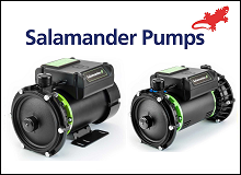 Salamander Right Pumps
